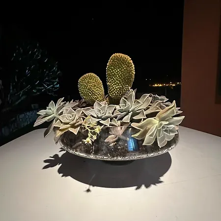 Infinity Geria Vila *