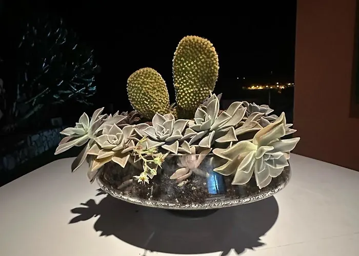 Infinity Geria Willa *