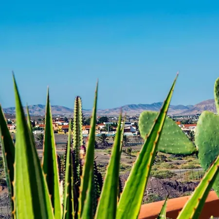 Infinity Geria فيلة *